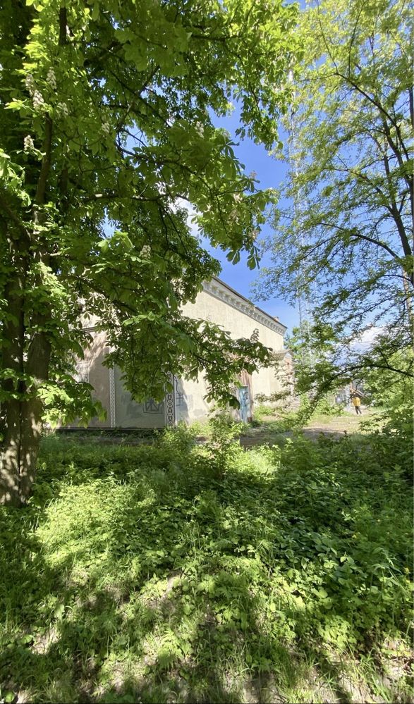 Комерція Інвестоб’єкт у центрі Ржищева: 460 м² + 26 соток,
