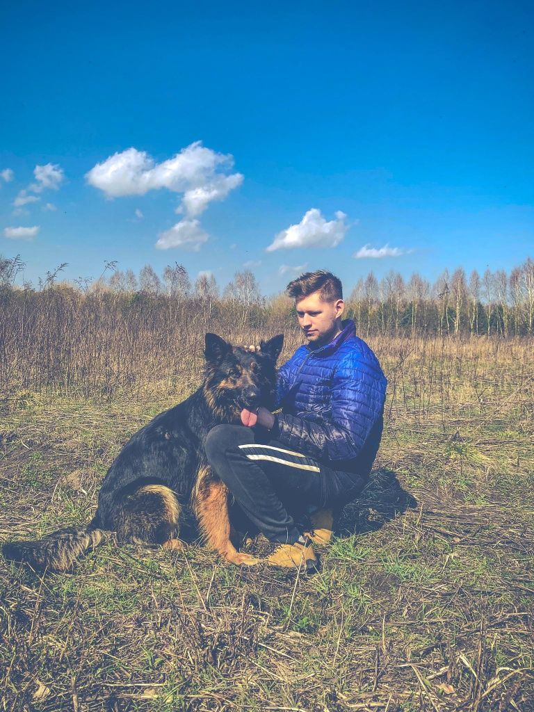 Piękna owczarka w schronisku. Szuka domu stałego lub tymczasowego.