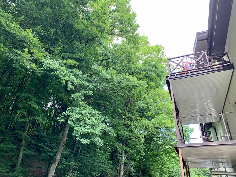 Здаємо в оренду апартаменти с. Поляна, Свалявський р-н., Закарпатська