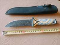 Noz survival Kandar