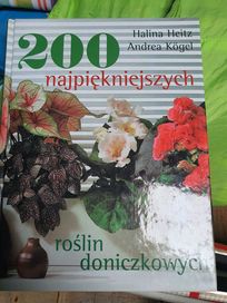 200 najpiękniejszych roślin doniczkowych