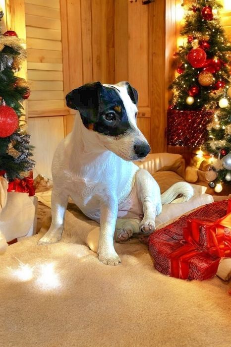 Чарівна дівчинка.