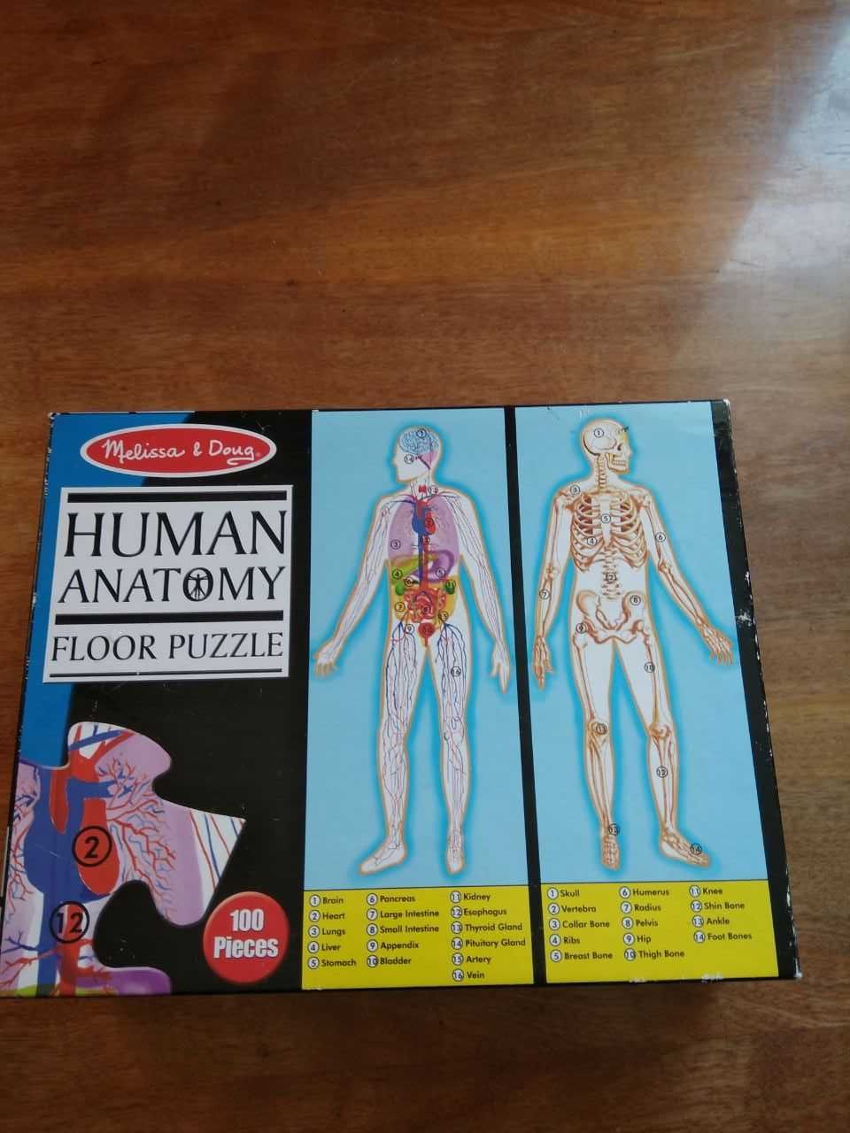 Двохсторонній пазл Human Anatomy Floor Puzzle-Double-Sided