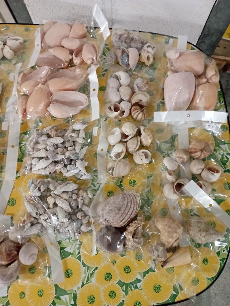 Búzios Variados..