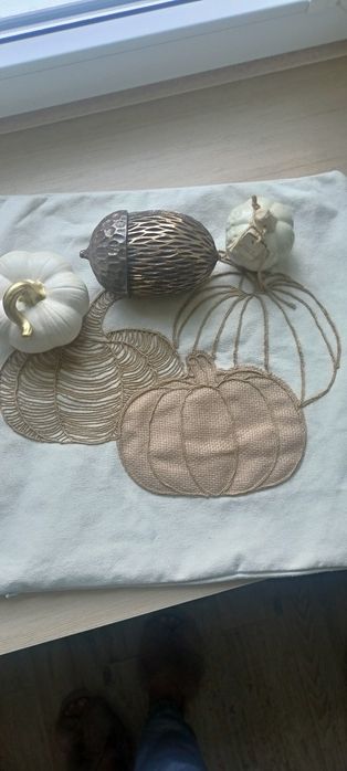 Dynie jesienne , poszewka i żołądź