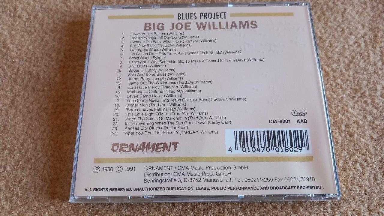 Big Joe Williams - Album: "Watergate Blues"