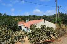 Casa de Campo tipicamente portuguesa com 20 hectares - Pedralva, Vila