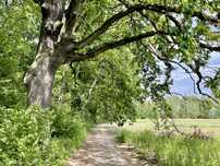 Działka z MPZP, inwestycyjna, 3ha, Chojnowski Park