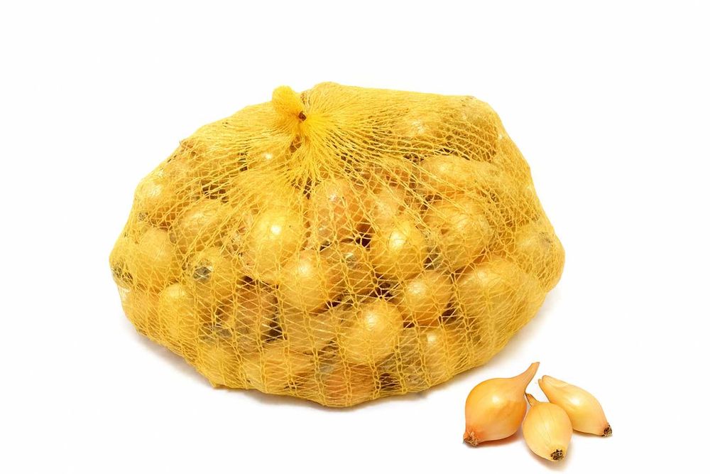 Cebula dymka zimowa Senshyu Yellow 20-25mm 1kg Piasecki