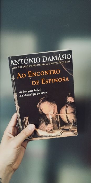 Ao Encontro de Espinosa (António Damásio)