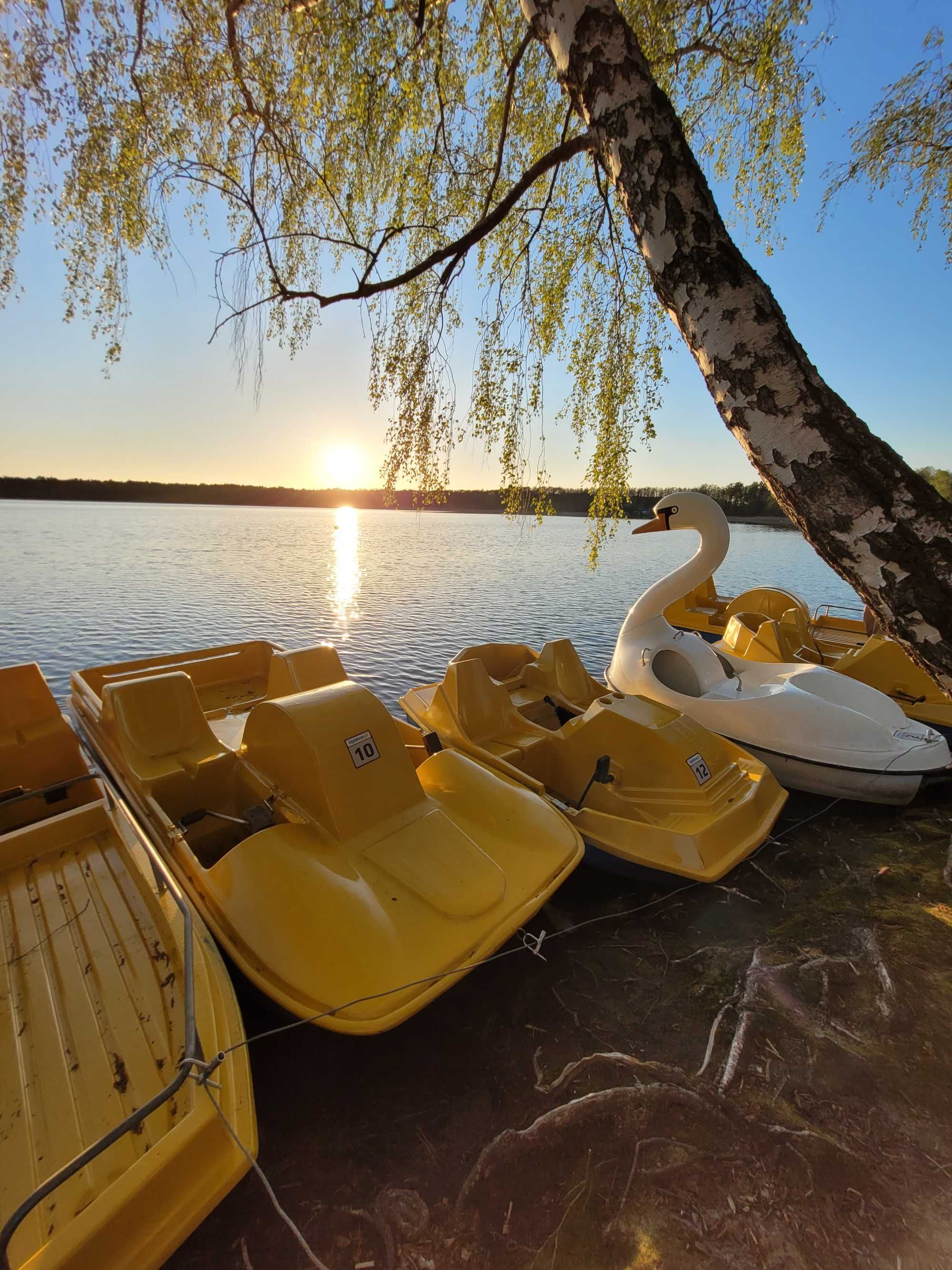 Domki letniskowe JEZIORO ZAGŁĘBOCZE Poleski Park Pojezierze