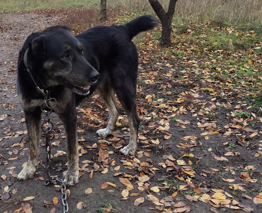 Терміново шукають родину