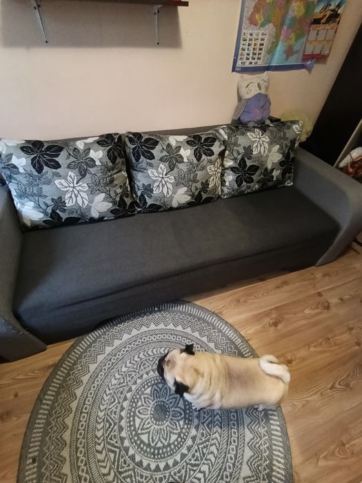 Розкладний диван