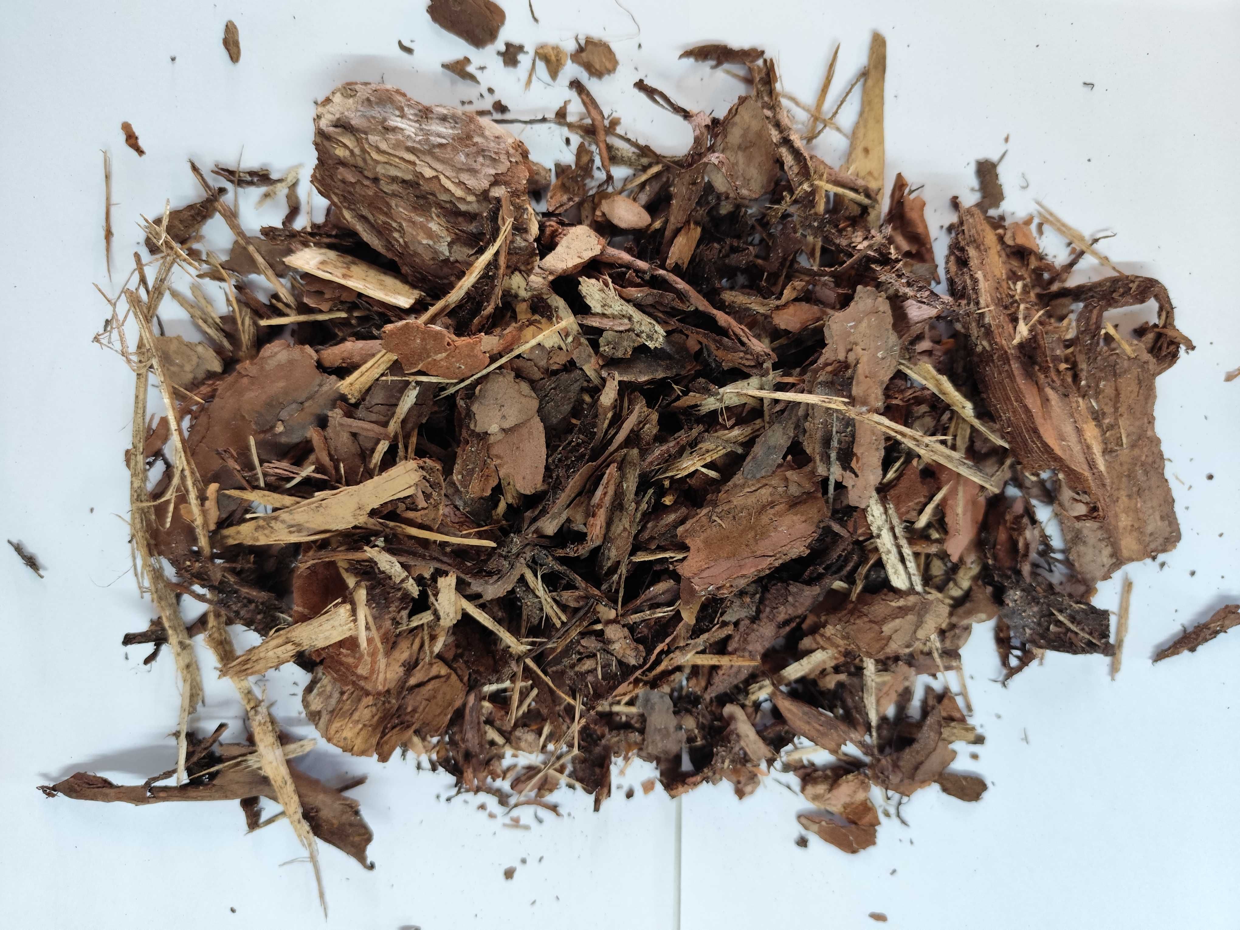 KORA SOSNOWA ogrodowa 80L MIX wielkości różne wymiary MIX