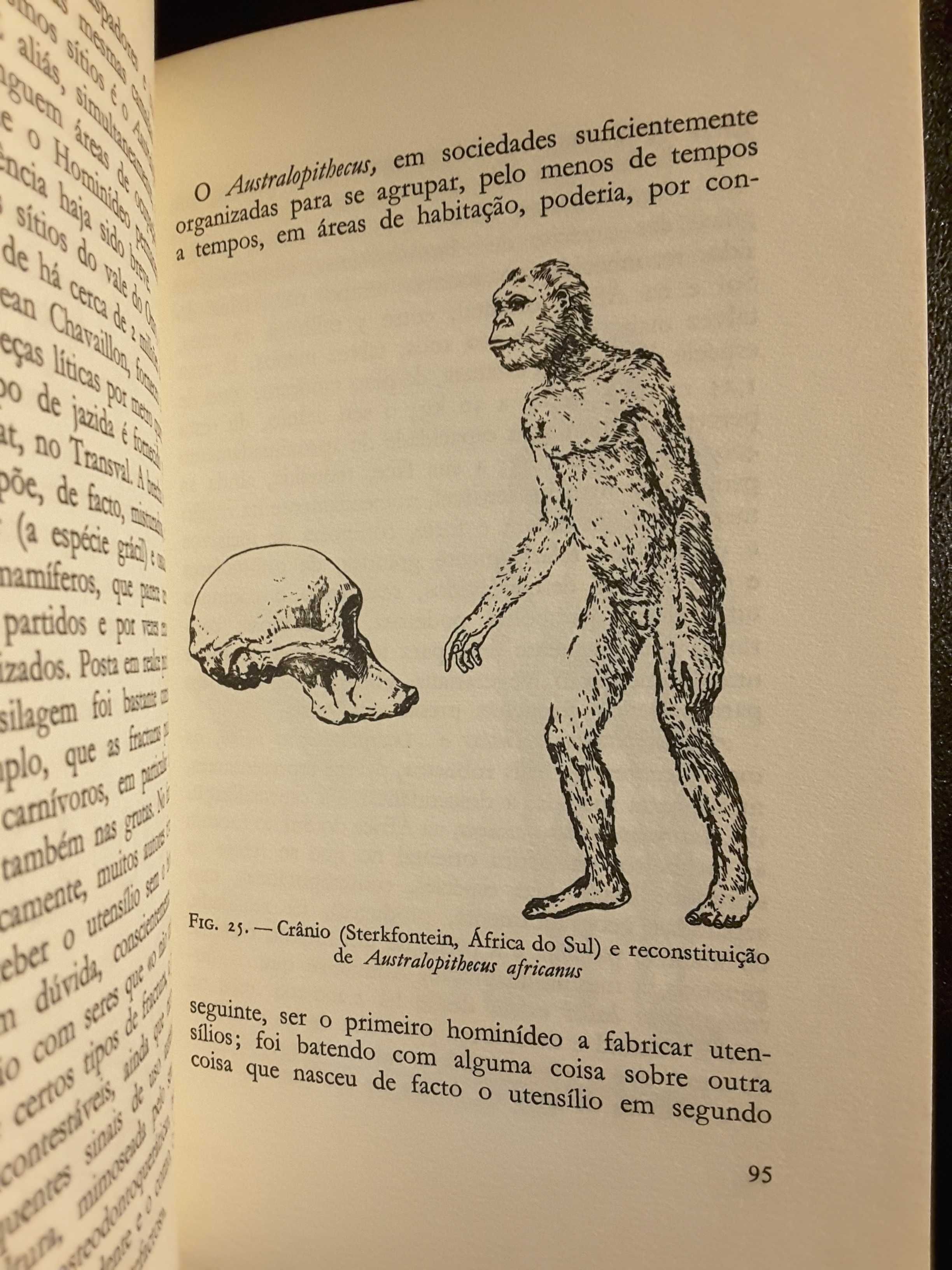 L´Afrique Ancienne / África Austral / O Macaco, a África e o Homem