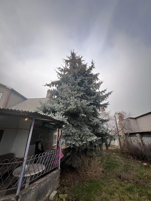 Будинок біля Лукаса