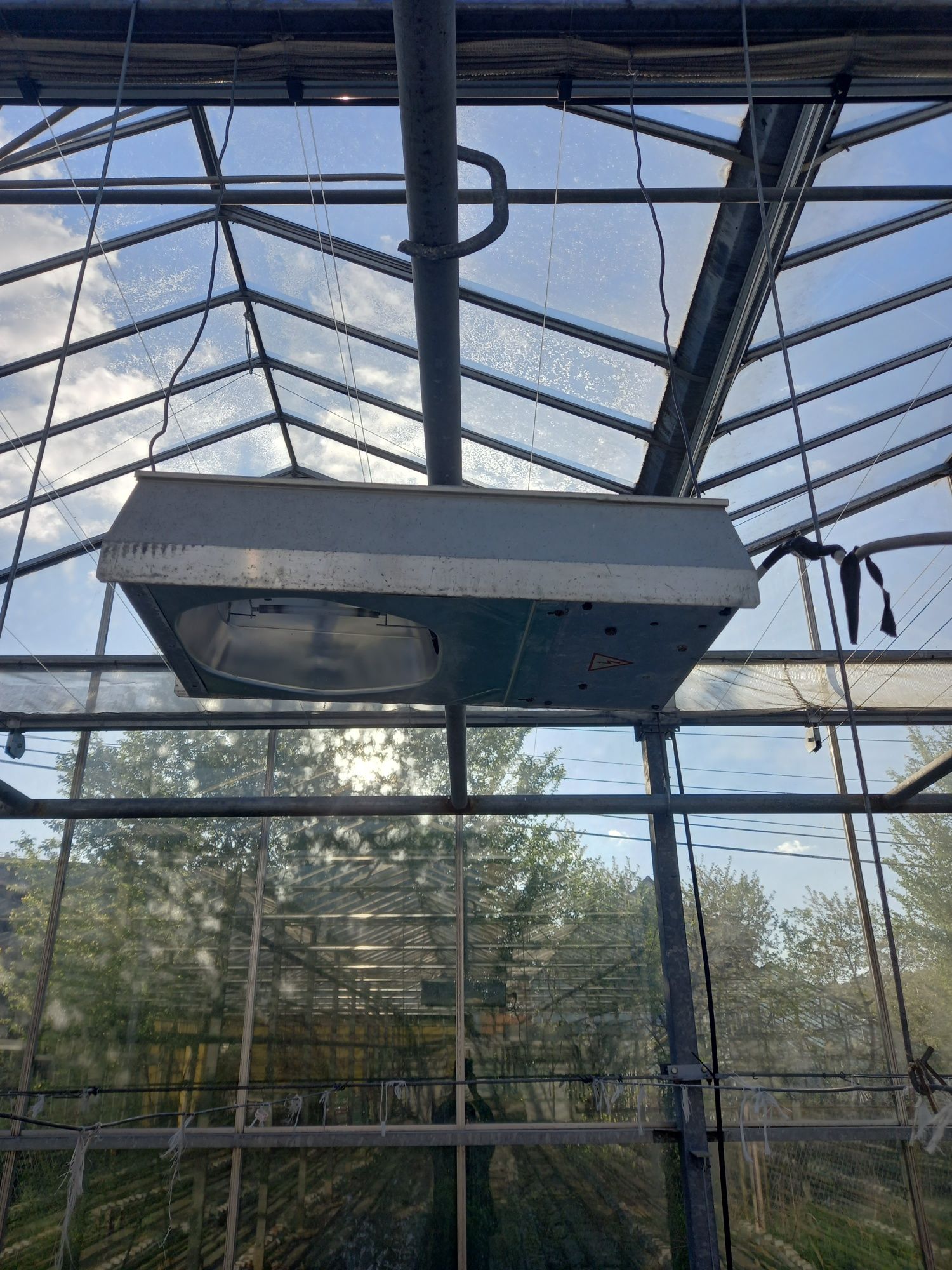 Lampy sodowe szklarnia 250W