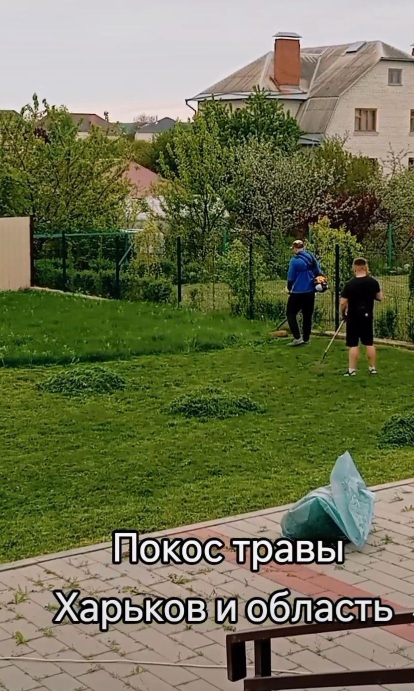 Покос травы, Сухостоя. Расчистка участков Харьков и обл.  Покіс трави