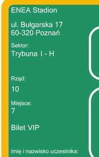 Bilet Dawid Podsiadło Poznań 15.06.2024 Vip