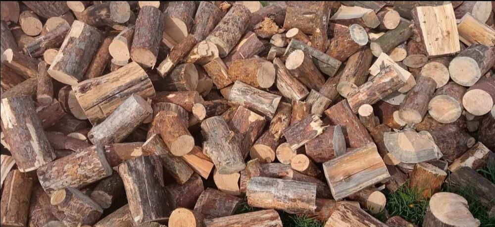 Продам дрова !!!