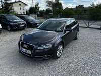 Audi A3 1.6 102KM MPi B+LPG SPORTBACK Klimatronik Cz.Parkownia 2Kpl.Kół