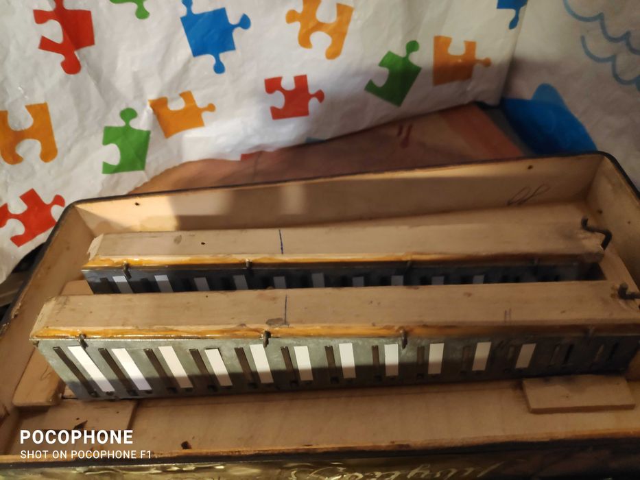 Akordeon Sibylla Brandt