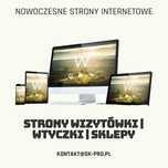 Profesjonalne Tworzenie Stron Internetowych