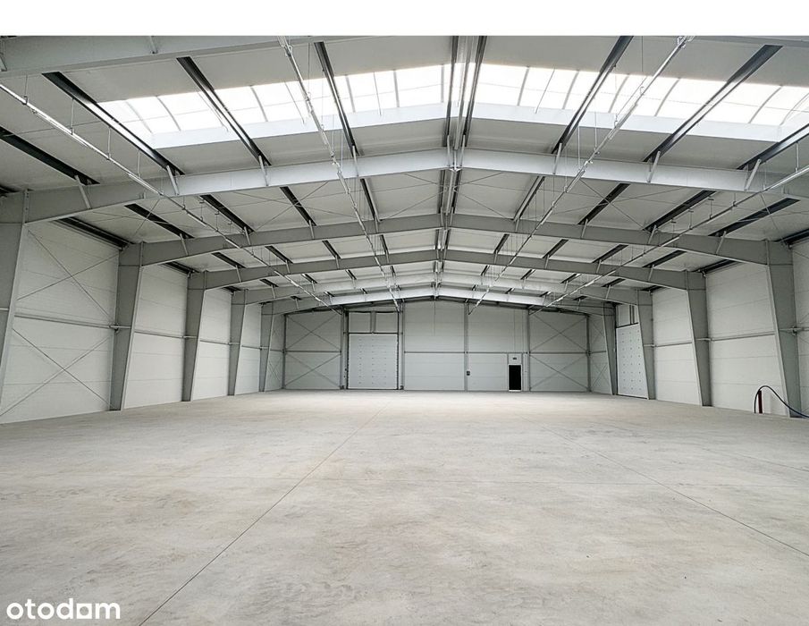 Nowa hala - 1100m2 lub 550m2 - węzeł Miszewo