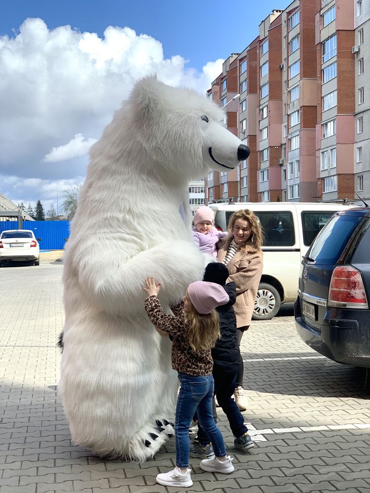 Білий ведмідь Луцьк, привітання в Луцьку, аніматор, ростова лялька