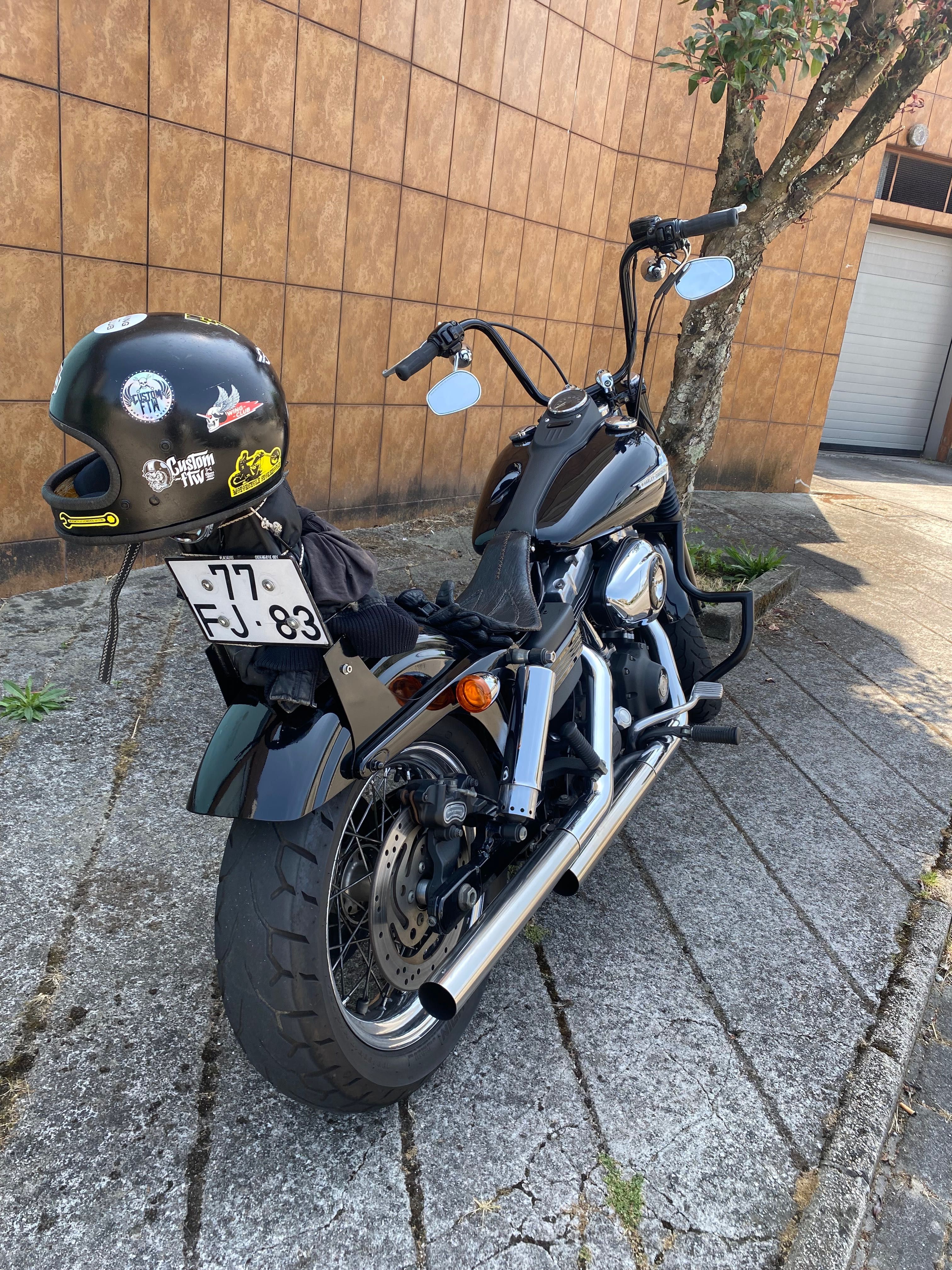 Harley street bob
