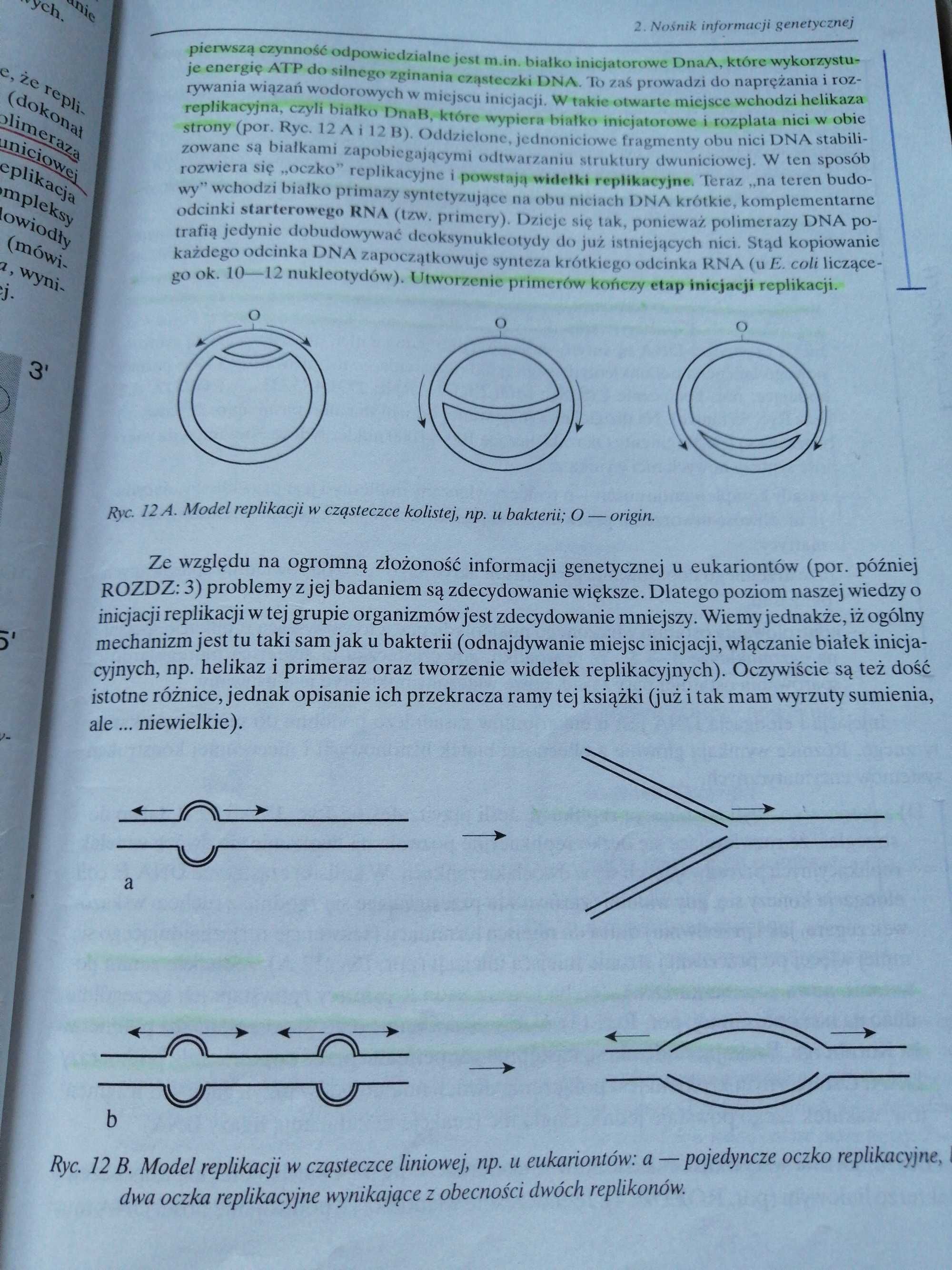 Genetyka Biologia W. Lewiński