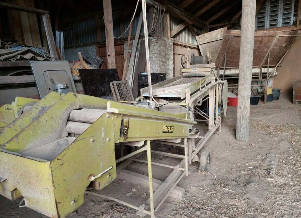 Linia do ziemniaków, sortownik do ziemniaków