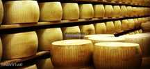 Indústria, Fábrica de Queijo, Participação maioritária. Portugal, G...