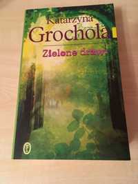 Katarzyna Grochola - zielone drzwi