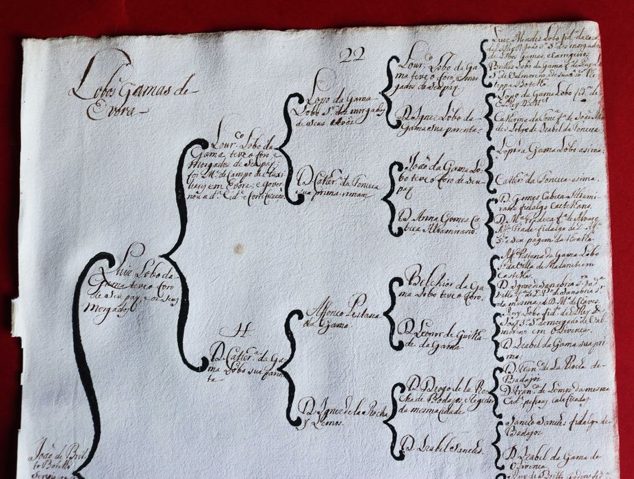 Luís Lobo da Gama, Évora, árvore de costados 1746