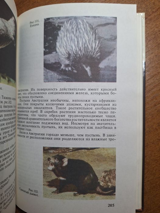 География мира 7 класс