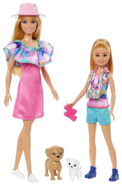Набір ляльок Mattel Barbie і Stacie