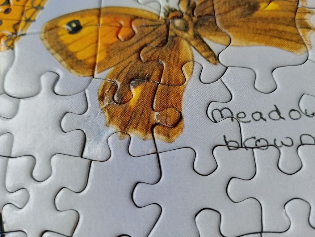 Puzzle 1000 motyle Butterflies a la hop