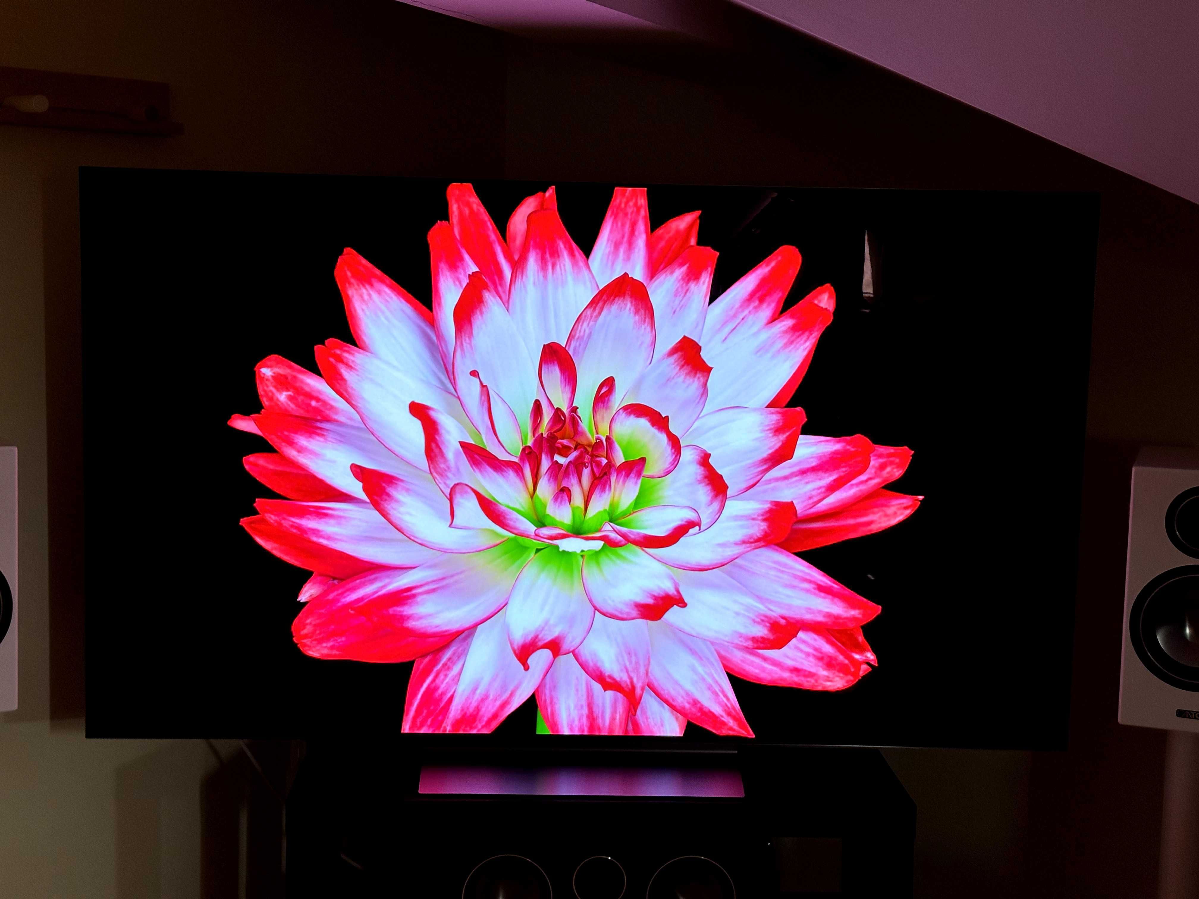 LG OLED65C21LA Telewizor OLED 65 cali 4K 120Hz Smart TV Igła