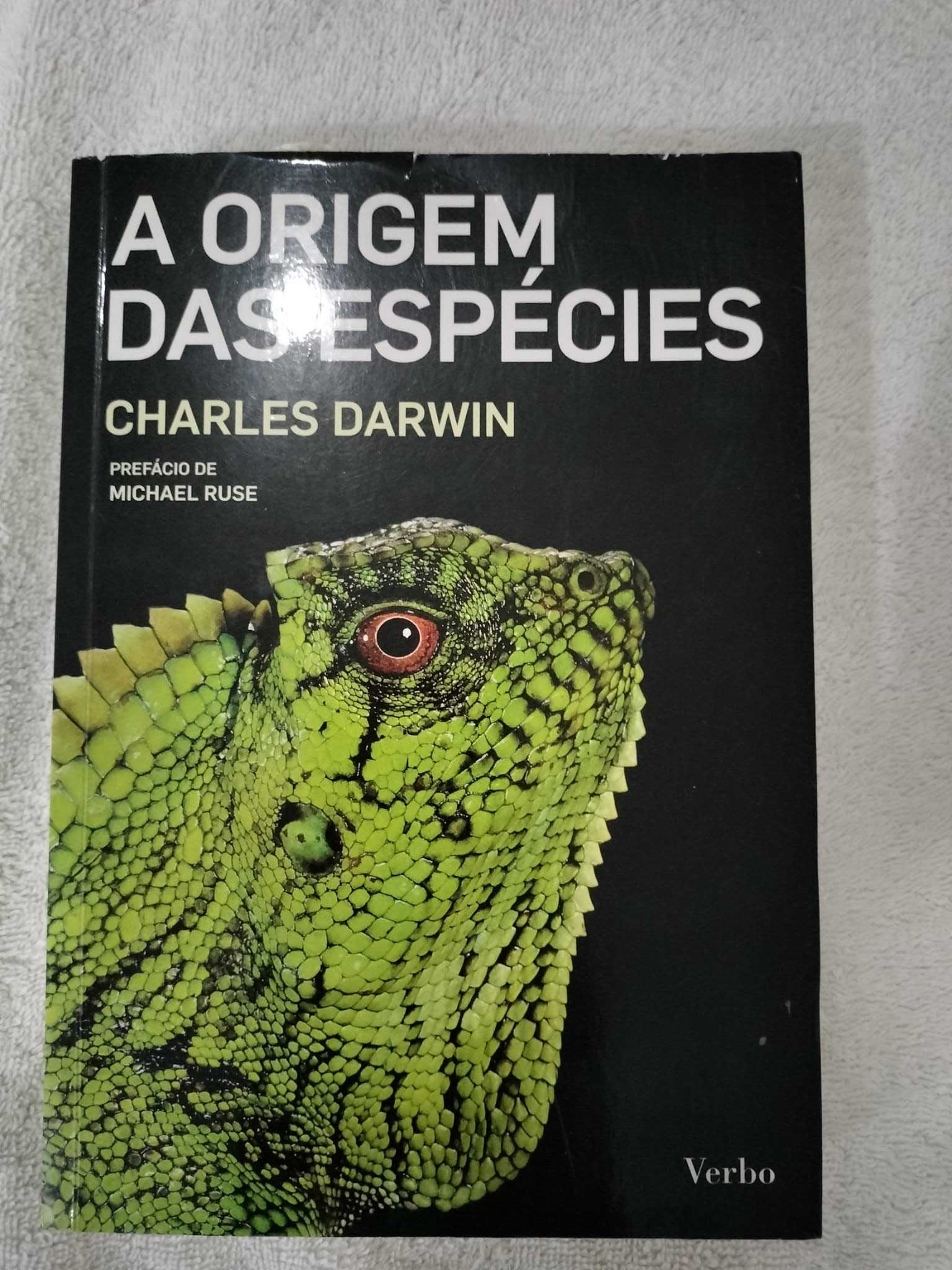 Livros de adulto/jovem adulto