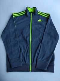 Олимпийка Adidas climalite M