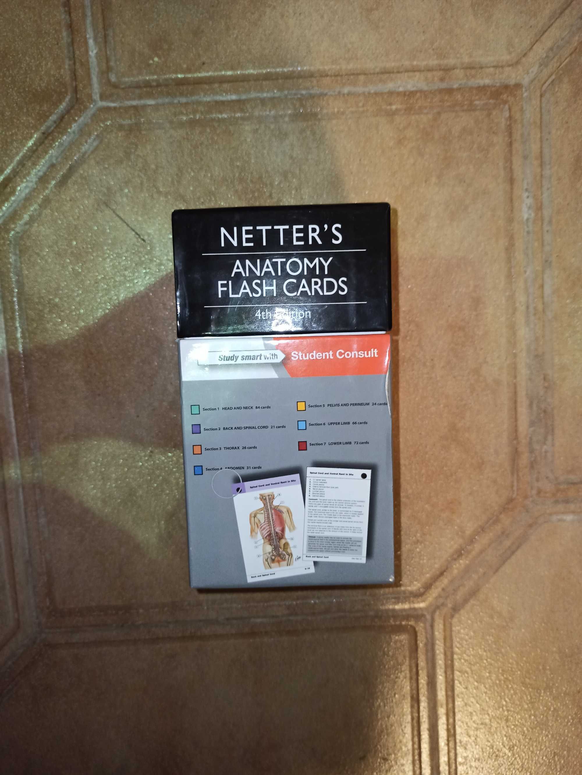 Карточки по анатомии человека Netter's Anatomy Flash Cards