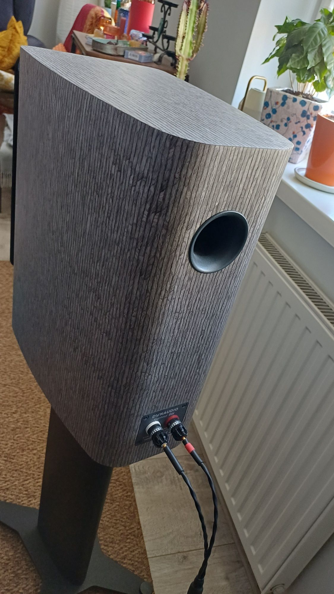 Dynaudio Contour C20i na gwarancji, highend !