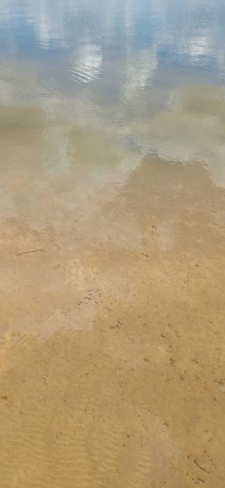 Działka na wynajem nad Jeziorem Lubotyń/pole kemping i namiotowe