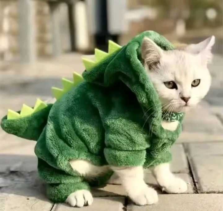 Костюм для собак