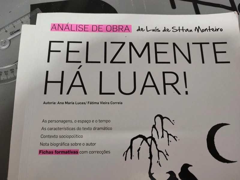 Livros análise das obra"Felizmente há luar"