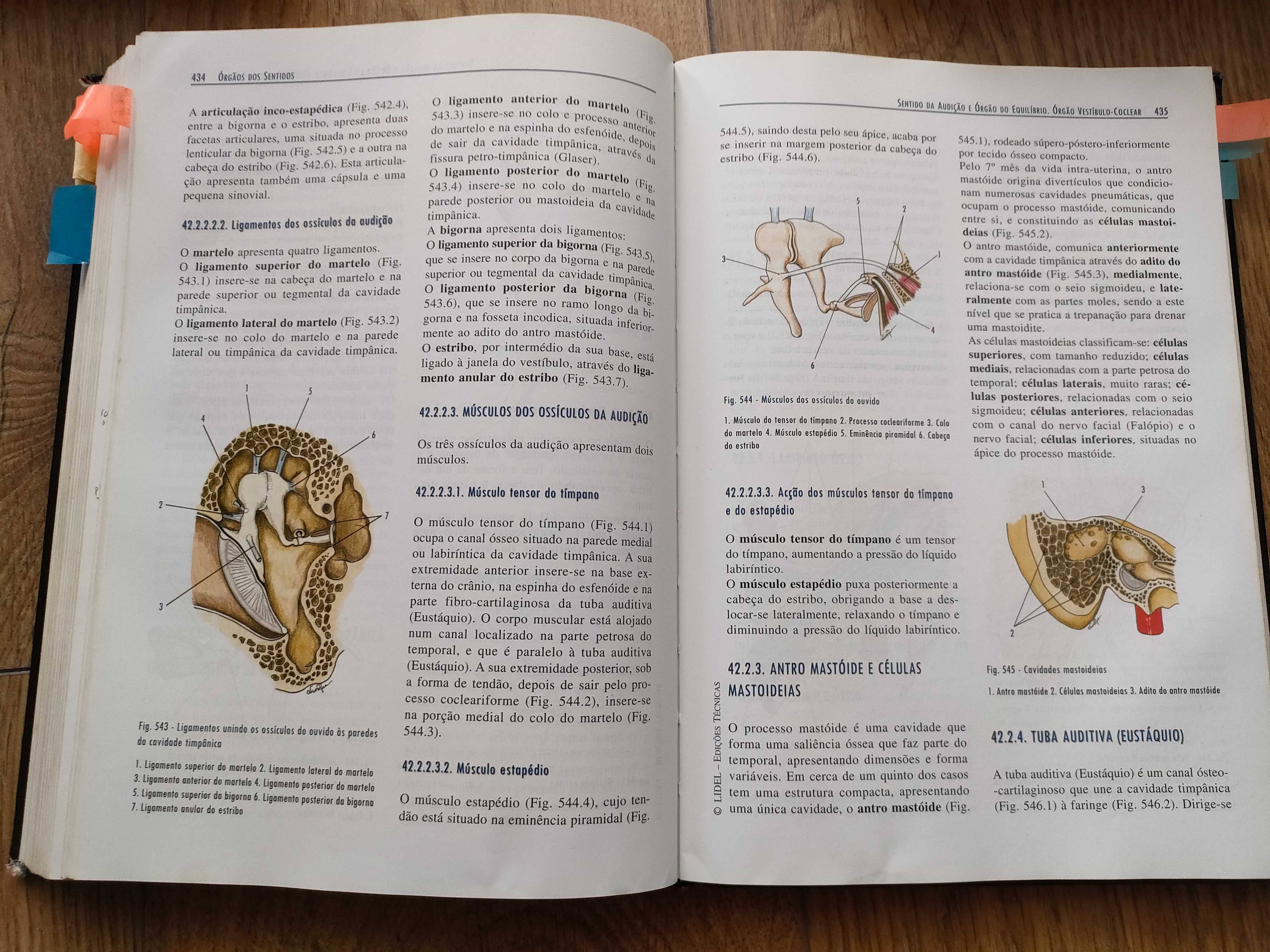 ANATOMIA HUMANA DA RELAÇÃO ("Pina da Relação") - J.A. Esperança Pina