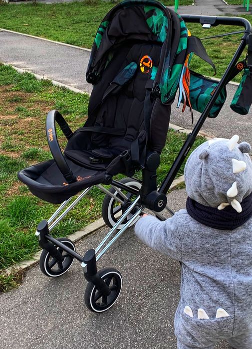 Коляска Сайбекс 3 в 1  Cybex Priam birds of paradise