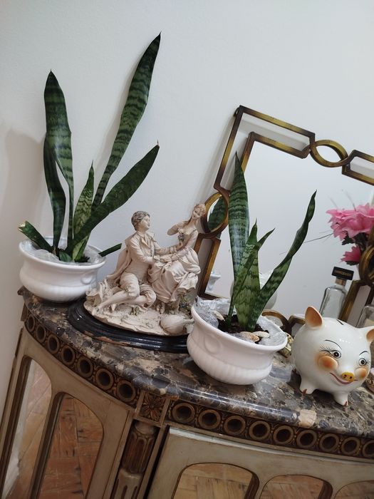 Conjunto de 2 Planta natural espadas de S Jorge