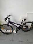 Bicicleta de senhora